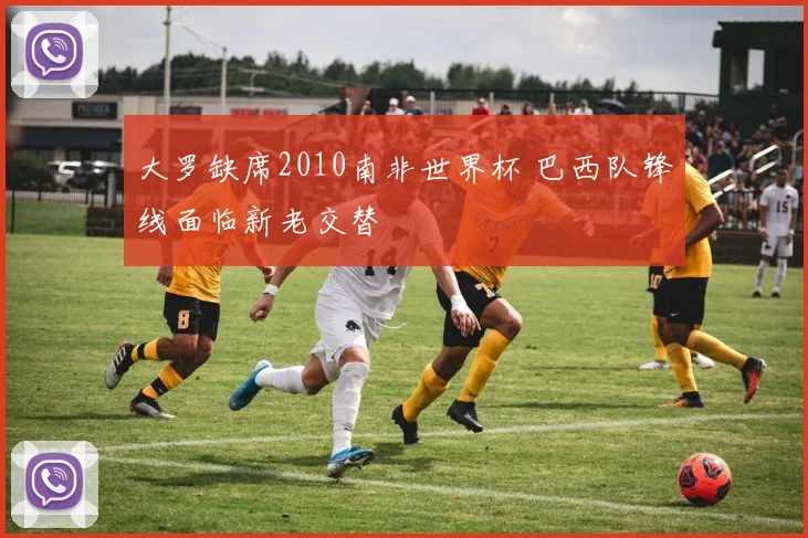大罗缺席2010南非世界杯 巴西队锋线面临新老交替