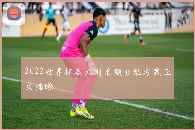 2022世界杯各大洲名额分配方案正式揭晓