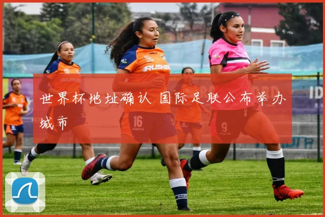 世界杯地址确认 国际足联公布举办城市