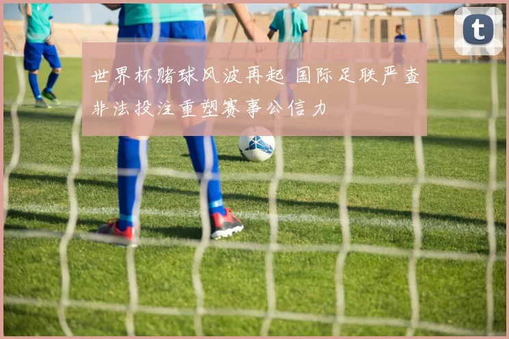 世界杯赌球风波再起 国际足联严查非法投注重塑赛事公信力
